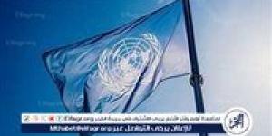 الأمم المتحدة: "القمامة" ملاذ أطفال غزة أمام الجوع - الهلال الإخباري