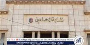 محامو الفيوم يضربون عن العمل احتجاجًا على زيادة الرسوم القضائية - الهلال الإخباري