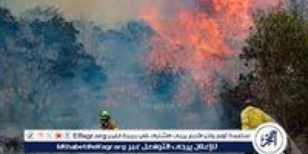 حرائق ضخمة وشلل في حركة القطارات في إسرائيل.. مشاهد صادمة من تل أبيب - الهلال الإخباري