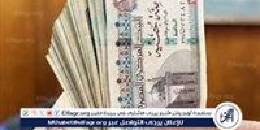 شروط المعاش المبكر لعام 2025 في مصر - الهلال الإخباري