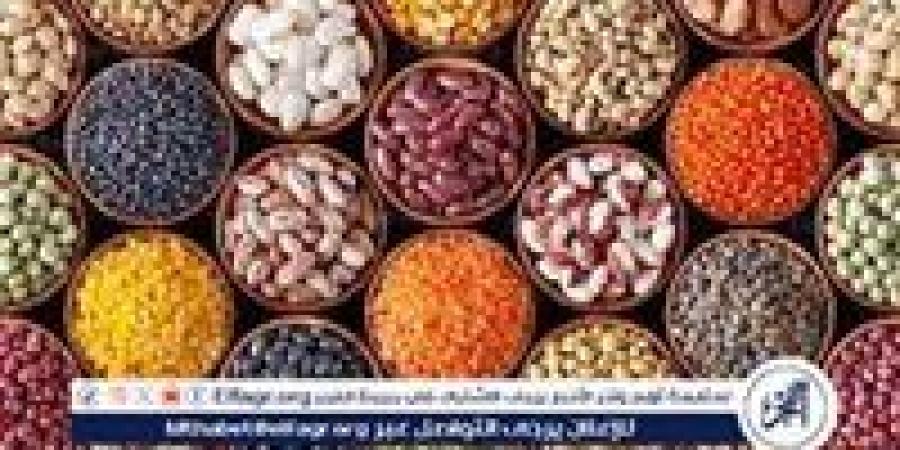 أسعار البقوليات اليوم الثلاثاء 6-5-2025 في أسواق ومحال محافظة قنا - الهلال الإخباري