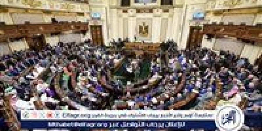 تضامن النواب تناقش خطة التنمية الاقتصادية والاجتماعية لبنك ناصر - الهلال الإخباري