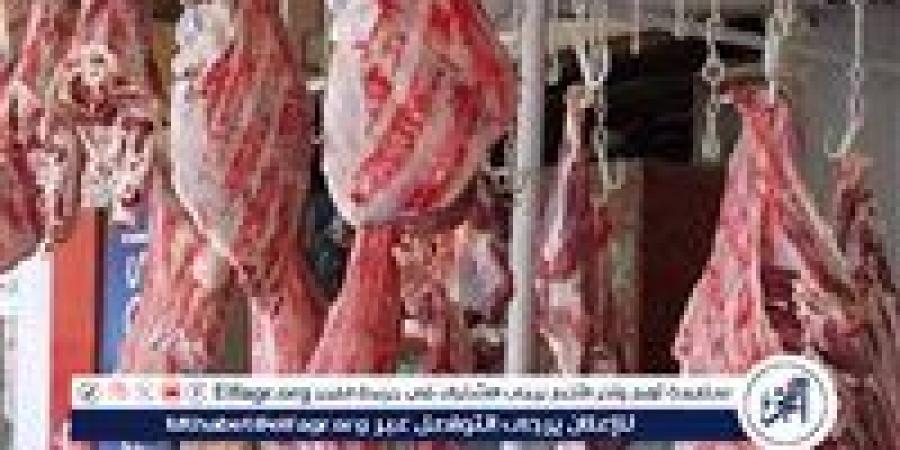أسعار اللحوم البلدي والكندوز اليوم الجمعة 9-5-2025 في الأسواق ومحال الجزارة بقنا - الهلال الإخباري