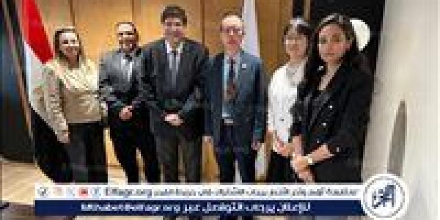 مصر تبحث تعزيز التعاون مع مركز اليونسكو للابتكار في التعليم العالي - الهلال الإخباري