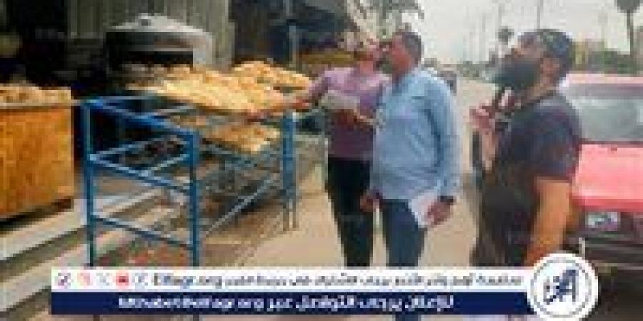 محافظ الإسماعيلية يتابع تفتيش البيئة على المحال بالقصاصين - الهلال الإخباري