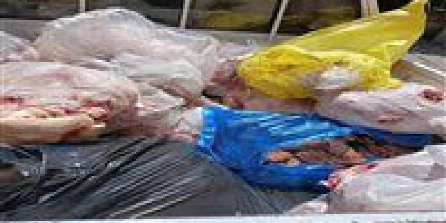 ضبط 227 كيلو لحوم ودواجن ورنجة غير صالحة ومجهولة المصدر في أسواق الغربية - الهلال الإخباري