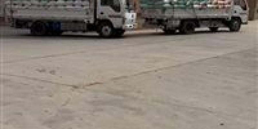 استمرار تدفق الأقماح المحلية لشون وصوامع الشرقية - الهلال الإخباري