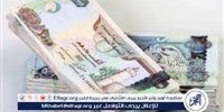 سعر الدرهم الإماراتي في البنك المركزي المصري اليوم الجمعة 7/2/2025 - الهلال الإخباري