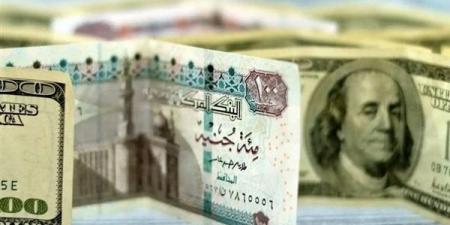 سعر الدولار مقابل الجنيه المصرى اليوم السبت 8 فبراير 2025 - الهلال الإخباري