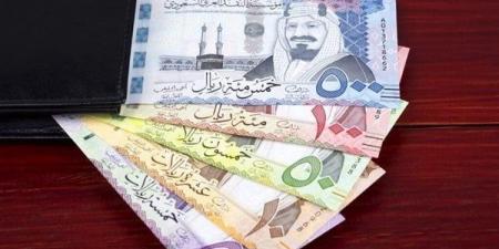 سعر الريال السعودى اليوم الأحد 9-2-2025 مقابل الجنيه المصرى فى البنوك - الهلال الإخباري