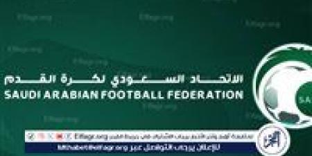 عاجل.. الاتحاد السعودي يعلن تدشين دوري جديد بداية من الموسم المقبل 2025-2026 - الهلال الإخباري