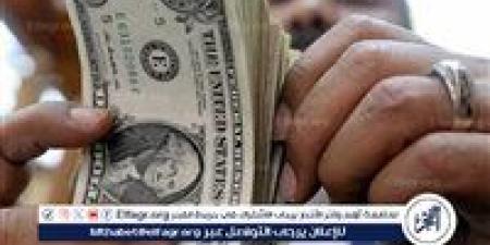 الدولار يواصل الاستقرار أمام الجنيه المصري في بداية تعاملات الثلاثاء 13 مايو 2025 - الهلال الإخباري