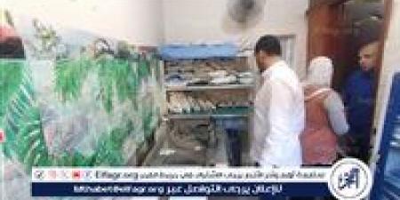 صحة الدقهلية: العلاج الحر يوصي بغلق 28 منشأة مخالفة وإنذار 6 أخرى بمدينة الكردى - الهلال الإخباري