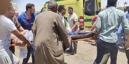فاجعة تهز مصر..وفاة 14 شخصاً بينهم أطفال في حادث مروع بالمنوفية - الهلال الإخباري