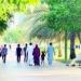 عيد الإمارات.. أفراح بالداخل وسخاء بالخارج - الهلال الإخباري