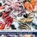 أسعار المأكولات البحرية والجمبري اليوم السبت 28-6-2025 في محافظة قنا - الهلال الإخباري