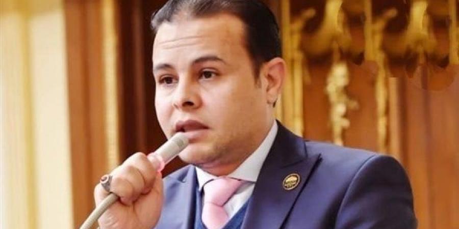 برلماني: التوجيه الرئاسي بتدشين إدارة محترفة للأزمات "نقلة حقيقية" - الهلال الإخباري