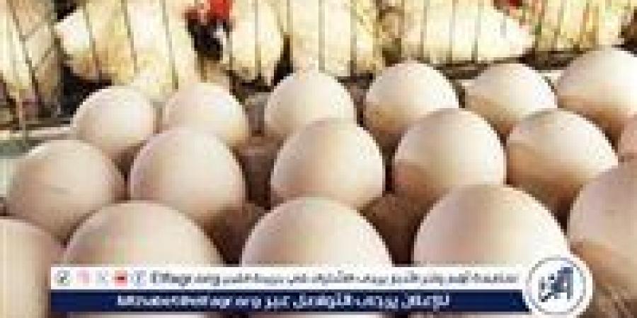 اسعار الدواجن اليوم الجمعة 7-2-2025 في الدقهلية - الهلال الإخباري