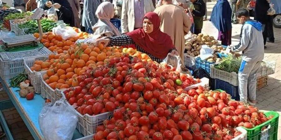 تنظيم معارض "أهلًا رمضان" وسوق اليوم الواحد في الخارجة وموط بالوادي الجديد - الهلال الإخباري