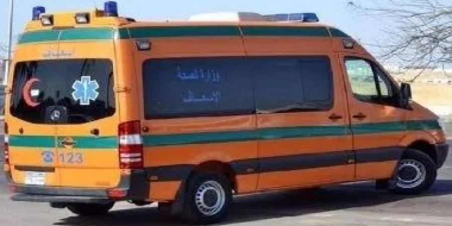 مصر.. وفاة غامضة لطفلتين تفتح تحقيقاً حول الشعرية سريعة التحضير - الهلال الإخباري