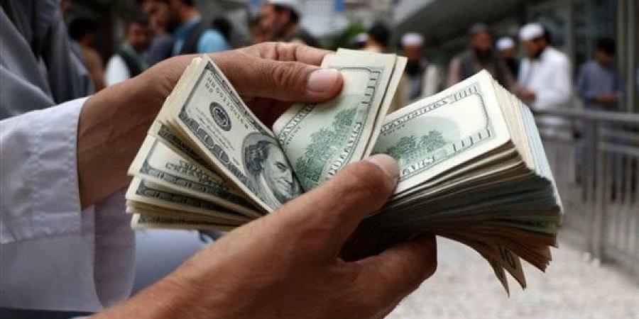 سعر الدولار مقابل الجنيه.. أحدث التحركات اليومية - الهلال الإخباري