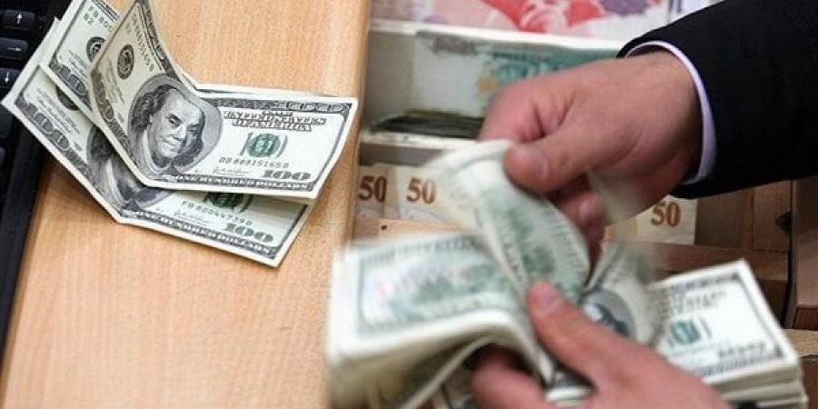 سعر الدولار مقابل الجنيه المصري اليوم لايف لحظة بلحظة - الهلال الإخباري