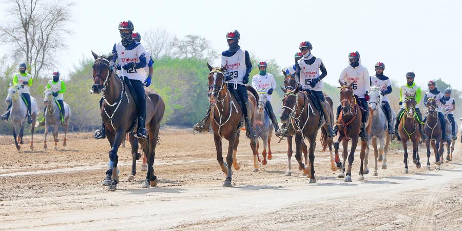 فتح التسجيل للمشاركة في مهرجان محمد بن راشد للقدرة - الهلال الإخباري