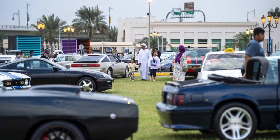 مهرجان الشارقة للسيارات القديمة يصل محطة الختام - الهلال الإخباري