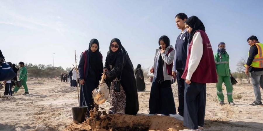 حملة تشجير في أبوظبي والبر الرئيسي - الهلال الإخباري