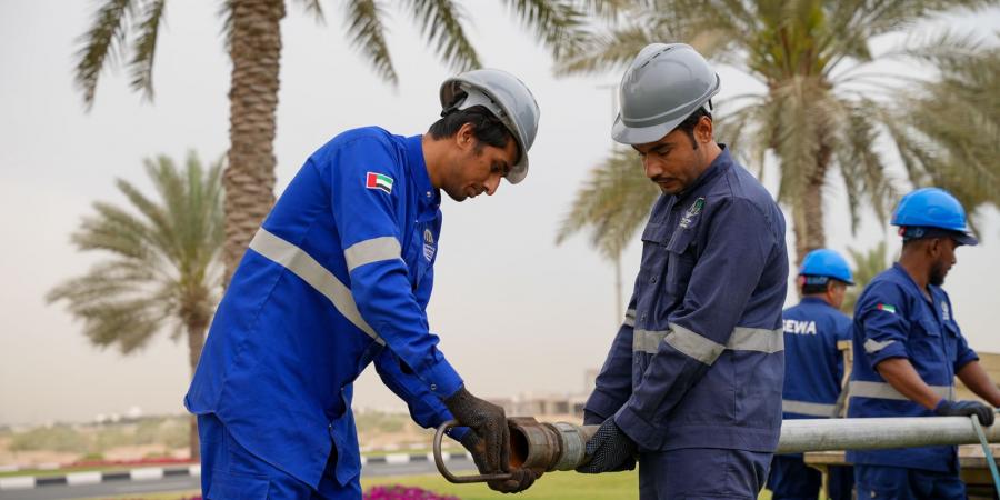 «كهرباء الشارقة» تنجز صيانة 641 بئراً خلال 2024 - الهلال الإخباري