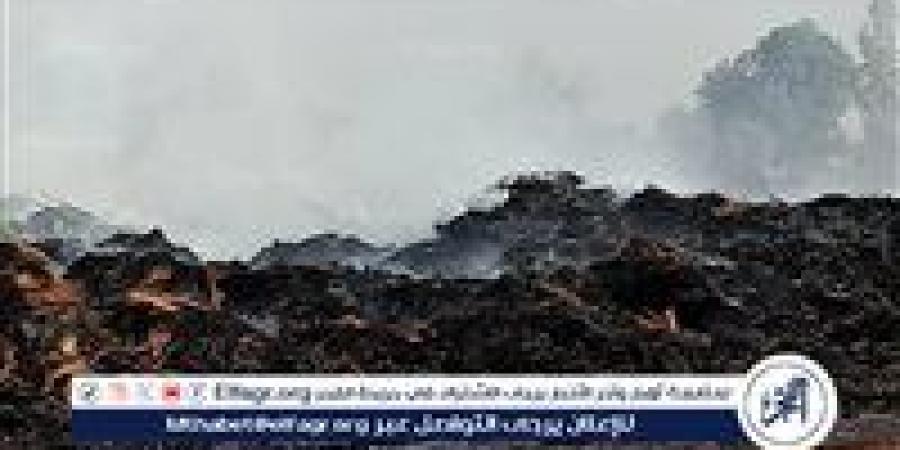 20 سيارة إطفاء للسيطرة على حريق مخزن كتان فى الغربية - الهلال الإخباري