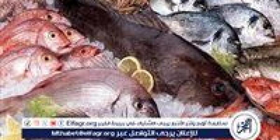 تعرف على أسعار الأسماك اليوم الأحد الموافق 11-5-2025 فى سوهاج - الهلال الإخباري