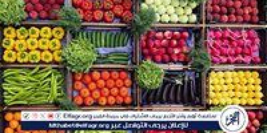 أسعار الخضروات اليوم الخميس 22-5-2025 في قنا - الهلال الإخباري