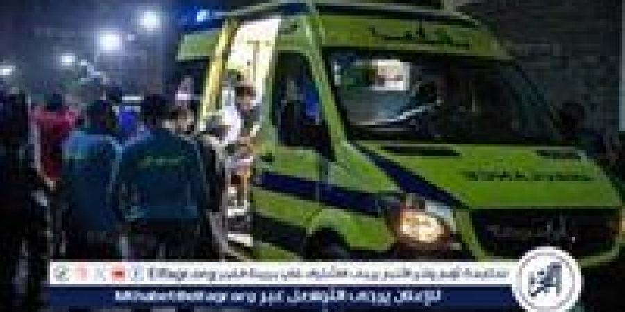 بسبب معاكسة البنات.. إصابة عامل بجرح قطعي بالرقبة في الدقهلية - الهلال الإخباري