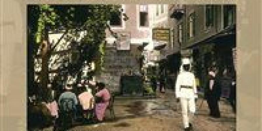 "تواريخ وأرشيفات التابعين الإيطاليين في مصر في الفترة (1864 – 1937)" محاضرة بمكتبة الإسكندرية - الهلال الإخباري