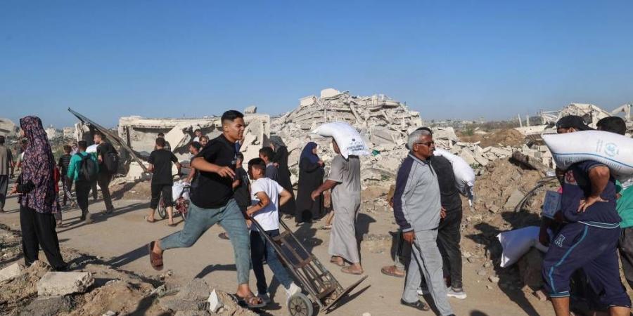 سويسرا تدعو إلى تكثيف الجهود الدبلوماسية لإنهاء حرب غزة - الهلال الإخباري