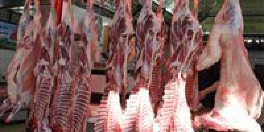 أسعار اللحوم الجملي والضاني اليوم الخميس 29-5-2025 في الأسواق ومحال الجزارة بقنا - الهلال الإخباري