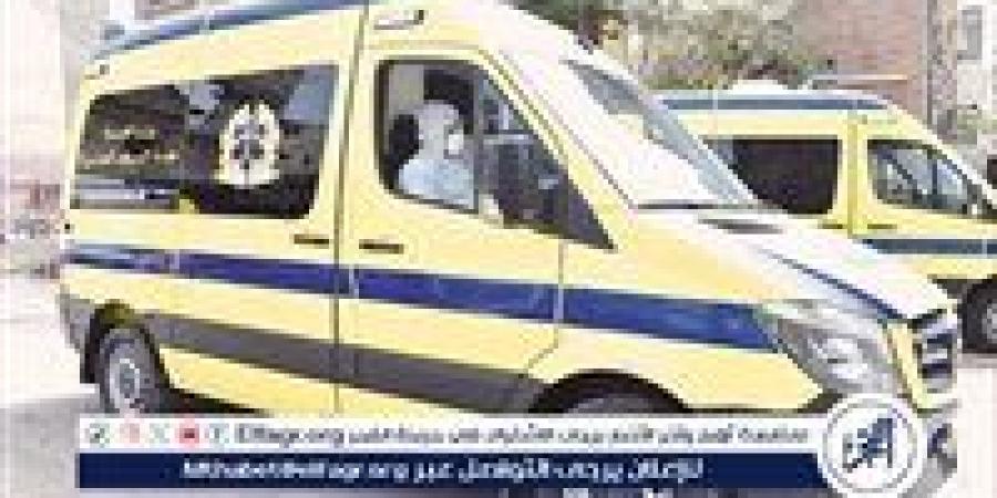 إصابة 11 شخصًا في تصادم مروع بين ملاكي وميكروباص بطريق بحيرة قارون بالفيوم - الهلال الإخباري