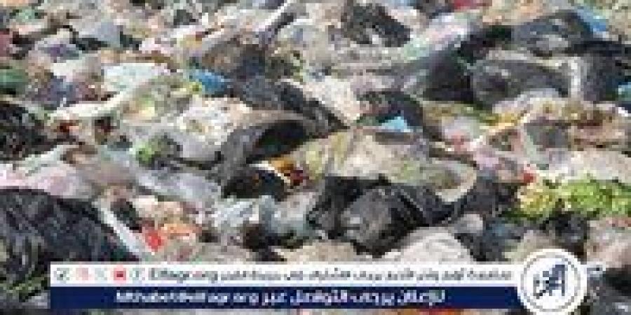خبير بيئي يُحذر من مخاطر الأكياس البلاستيكية: "بتعيش 550 سنة" (فيديو) - الهلال الإخباري