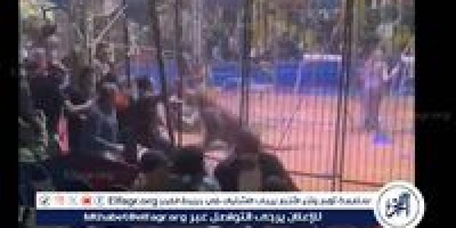 تأجيل محاكمة " أنوسة كوتة" فى قضية سيرك طنطا إلى جلسة يوم 21 من الشهر الحالي - الهلال الإخباري