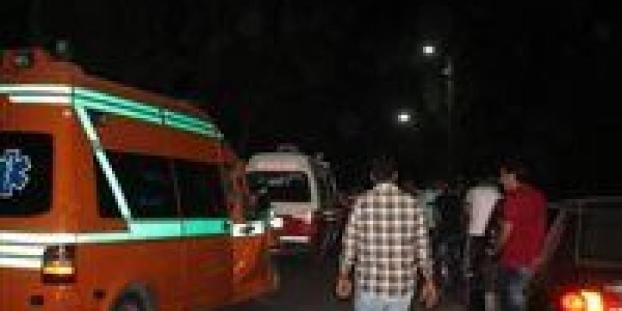 تفاصيل انهيار مدخنة مصنع طوب في الجيزة - الهلال الإخباري