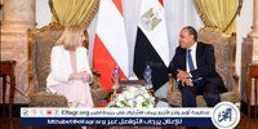 وزير الخارجية يجرى مشاورات سياسية مع نظيرته النمساوية - الهلال الإخباري