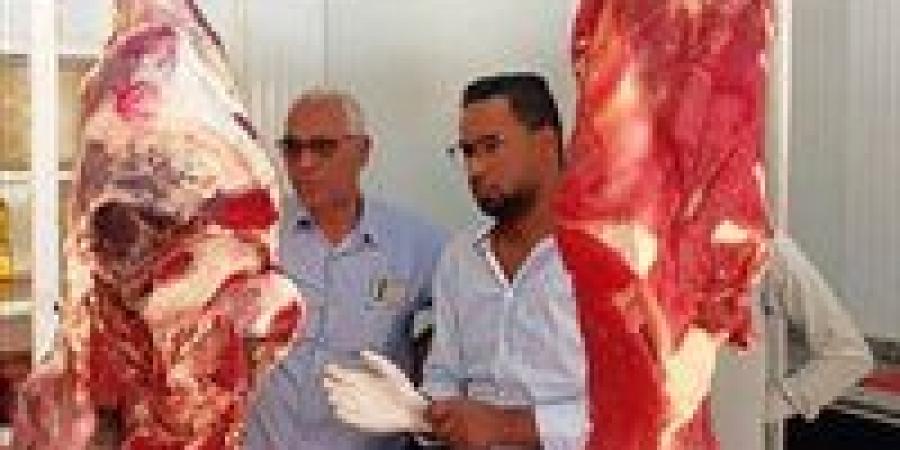 بالتعاون مع حماية المستهلك..مديرية الصحة تضبط وتعدم 700 كجم لسلع منتهية الصلاحية ومجهولة المصدر بأسوان - الهلال الإخباري